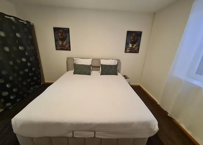 別荘 Le Oasis エクスレバン